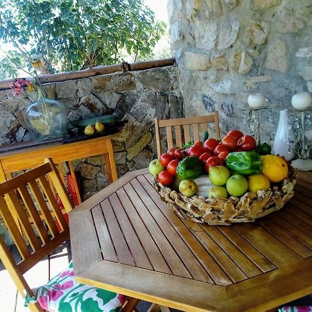 Casa Do Trapo Hotell Sardoal Eksteriør bilde
